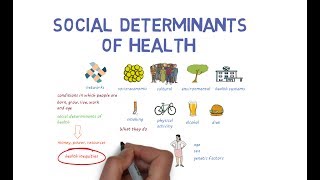 social determinants of health.