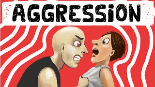 social psychology of aggression